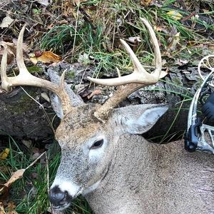 Meet your Posher, Aaron